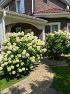 amenities outside Kiev A39576 For Sale