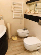 rentals Flats and apartments Spacious