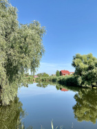 Verkhovyna in Kiew A6556 Verkauf