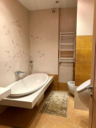 Apartments Penthouse zu vermieten im