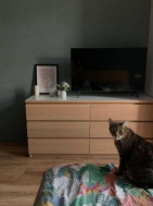 Spacious apartment on Kurskaya street