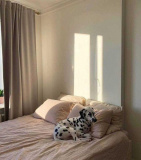 apartments Spacious apartment on