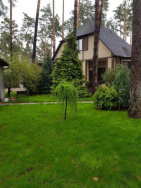 Stil im Dorf Bucha bei Kiew A41651