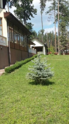 Villen Geräumiges Haus im Dorf