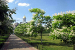 complex Liko-Grad A30395 For Sale Flats
