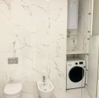 and apartments Species apartment in the