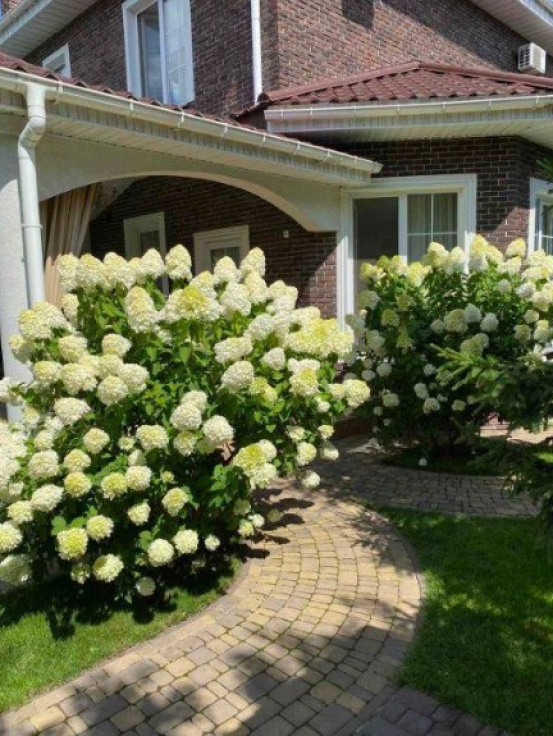 amenities outside Kiev A39576 For Sale