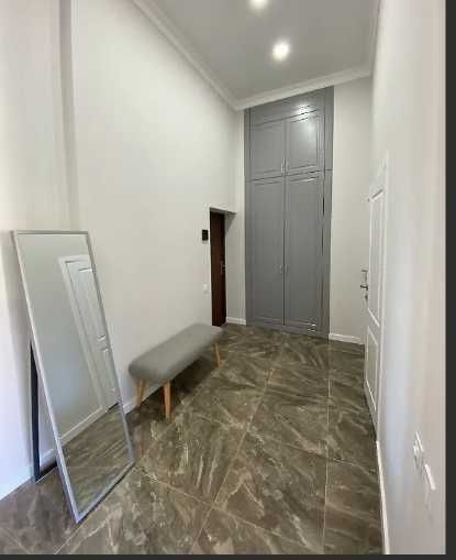 renovated apartment on Pushkinskaya