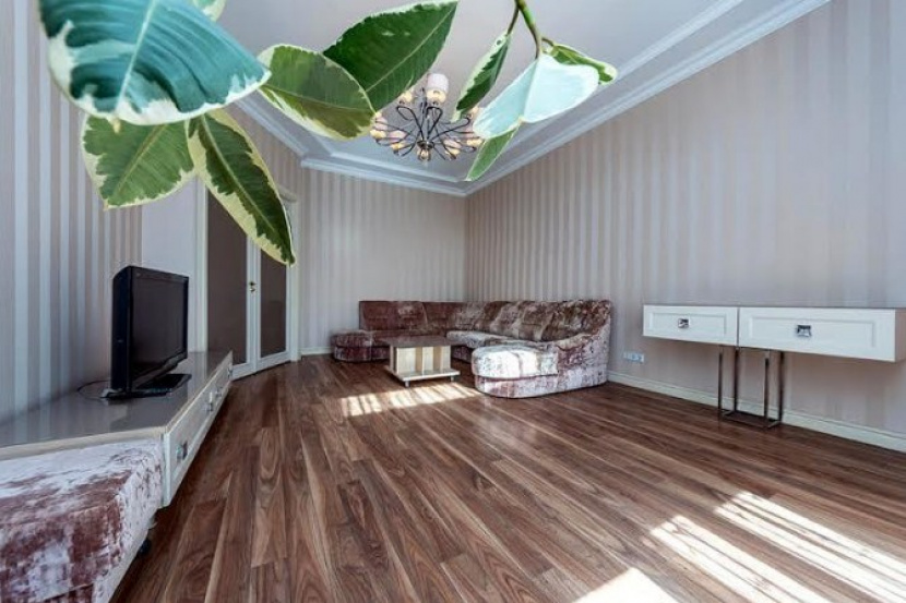 apartment in the very center A20322 For