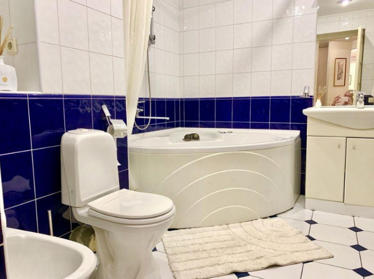 3-room apartment near Palats Ukraina