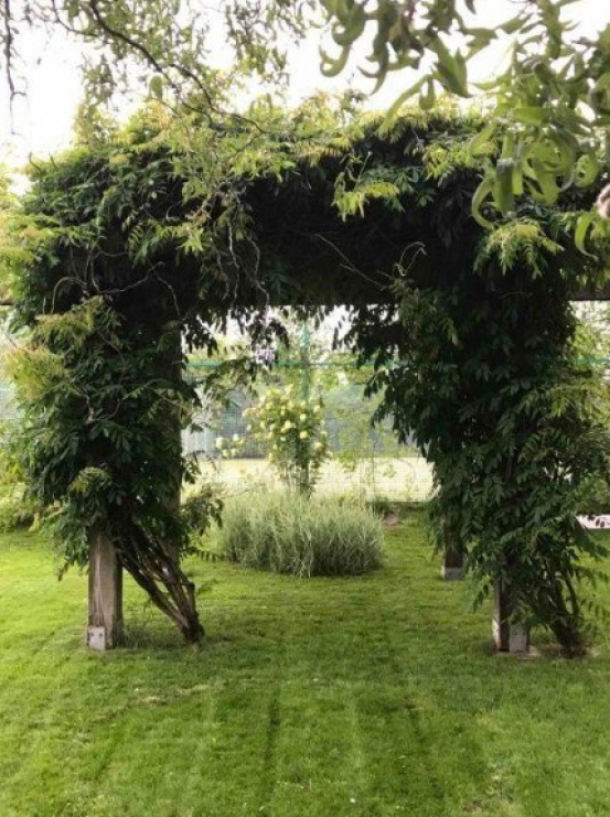 An exquisite mansion with a natural