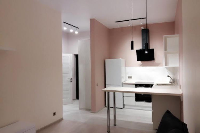 and apartments Spacious apartment in a