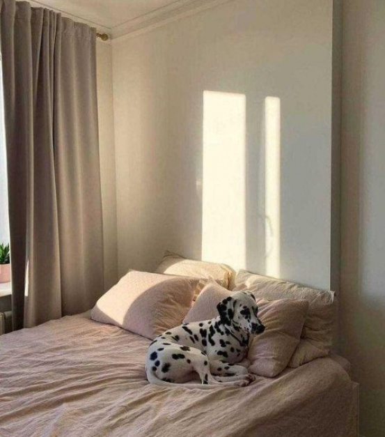apartments Spacious apartment on