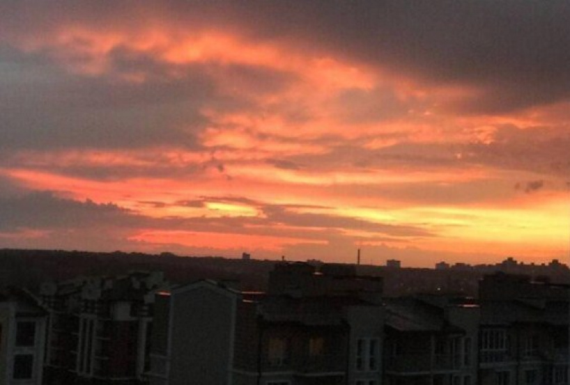 apartment in Goloseevsky district