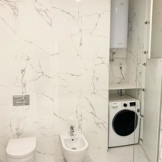 and apartments Species apartment in the