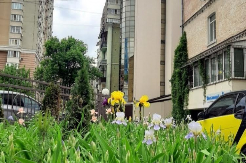 מְכִירָה דירות דירת חדר במרכז קייב