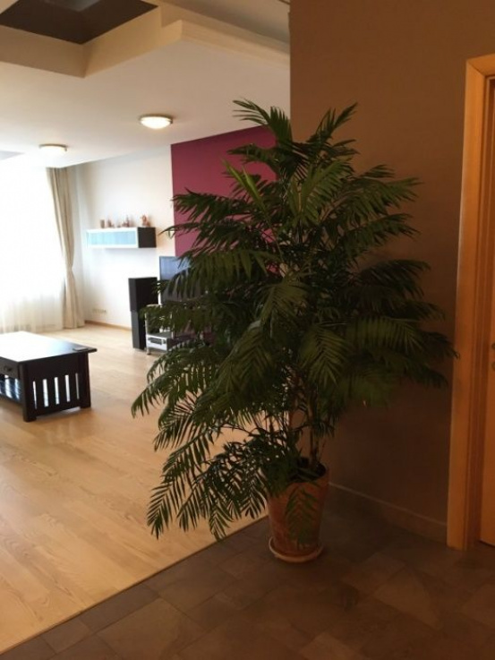 Luxurious apartment on Taras Shevchenko